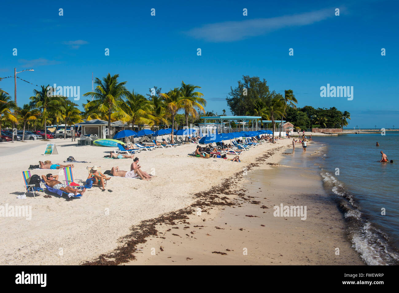 Higgs Strand, Key West, Florida, Vereinigte Staaten von Amerika, Nordamerika Stockfoto