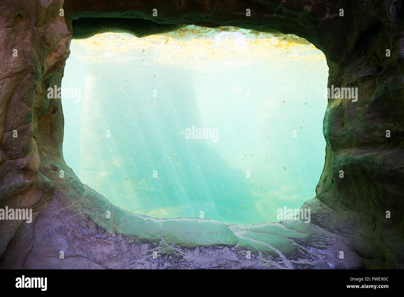 Ein Tank für Wildtiere sitzt leer und Schmutz an diesem Aquarium mit keine Tiere schwimmen durch. Die Form des Tanks schafft einen großen zurück Stockfoto