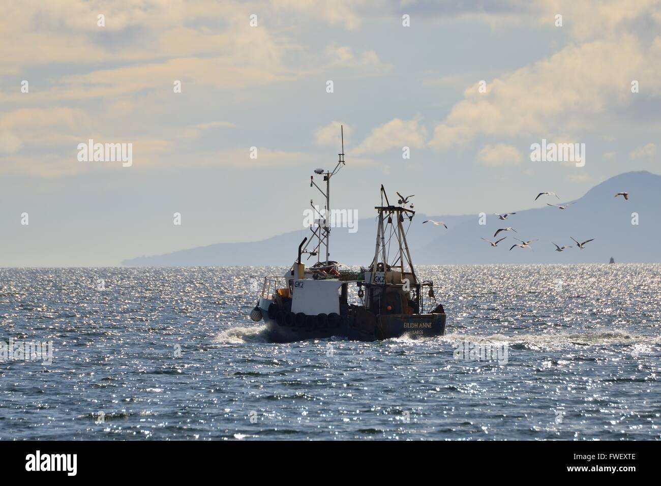 Blick Stockfoto