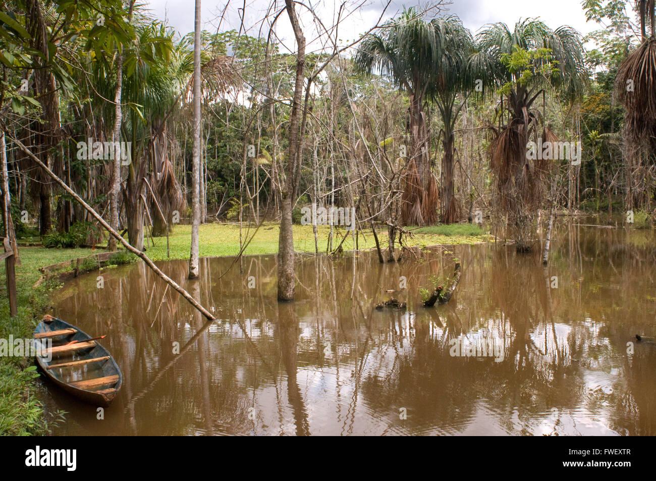 Ein Boot in einem überschwemmten Gebiet in der Nähe der Explorama Explorama Lodge ca. 80km von Iquitos nahe der Stadt von Indiana, Iquitos, Loreto, P Stockfoto