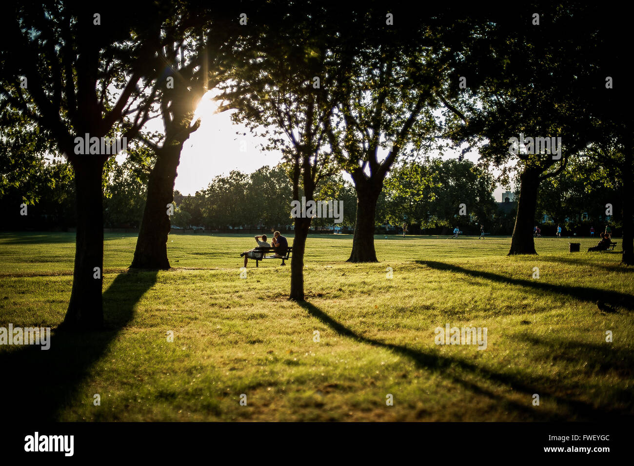 Contre Jour / am späten Nachmittag im Sommer, Abfahrten Park, Tottenham, London Stockfoto