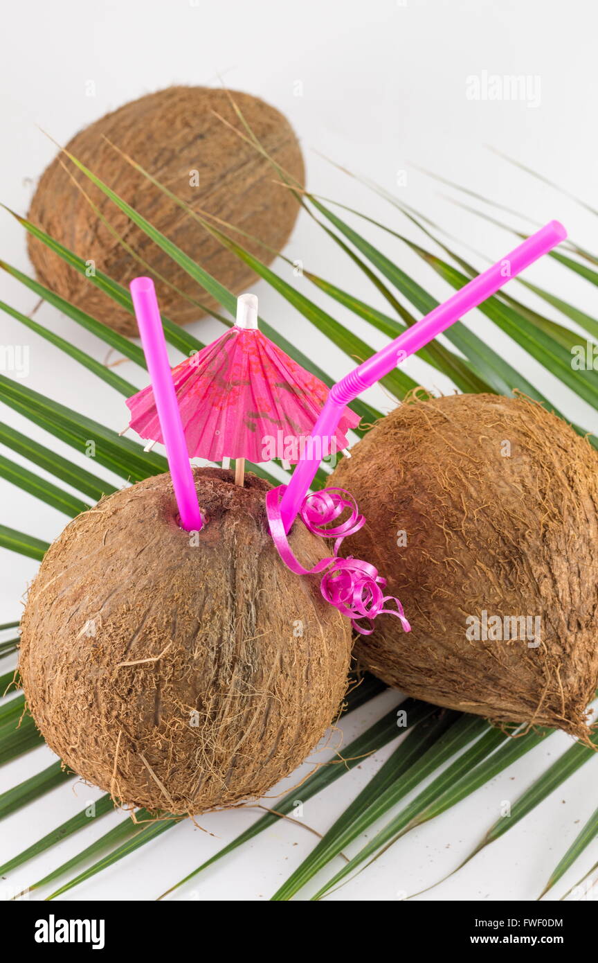 Frische Kokosnuss Cocktails mit cocktail Regenschirm auf Kokosnussblättern platziert Stockfoto