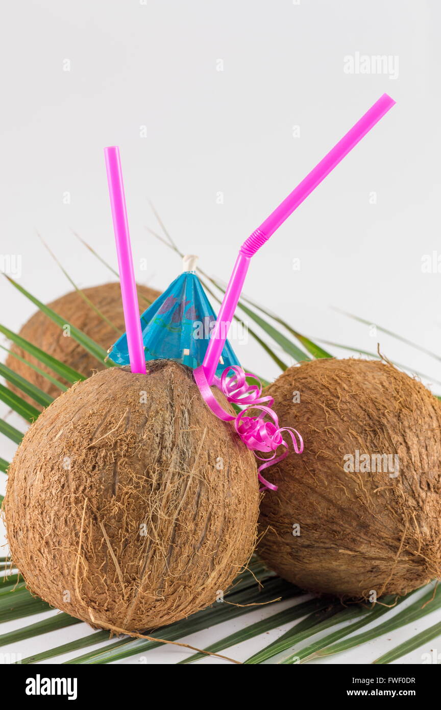 Frische Kokosnuss Cocktails mit Sonnenschirmen auf Kokosnussblättern platziert Stockfoto