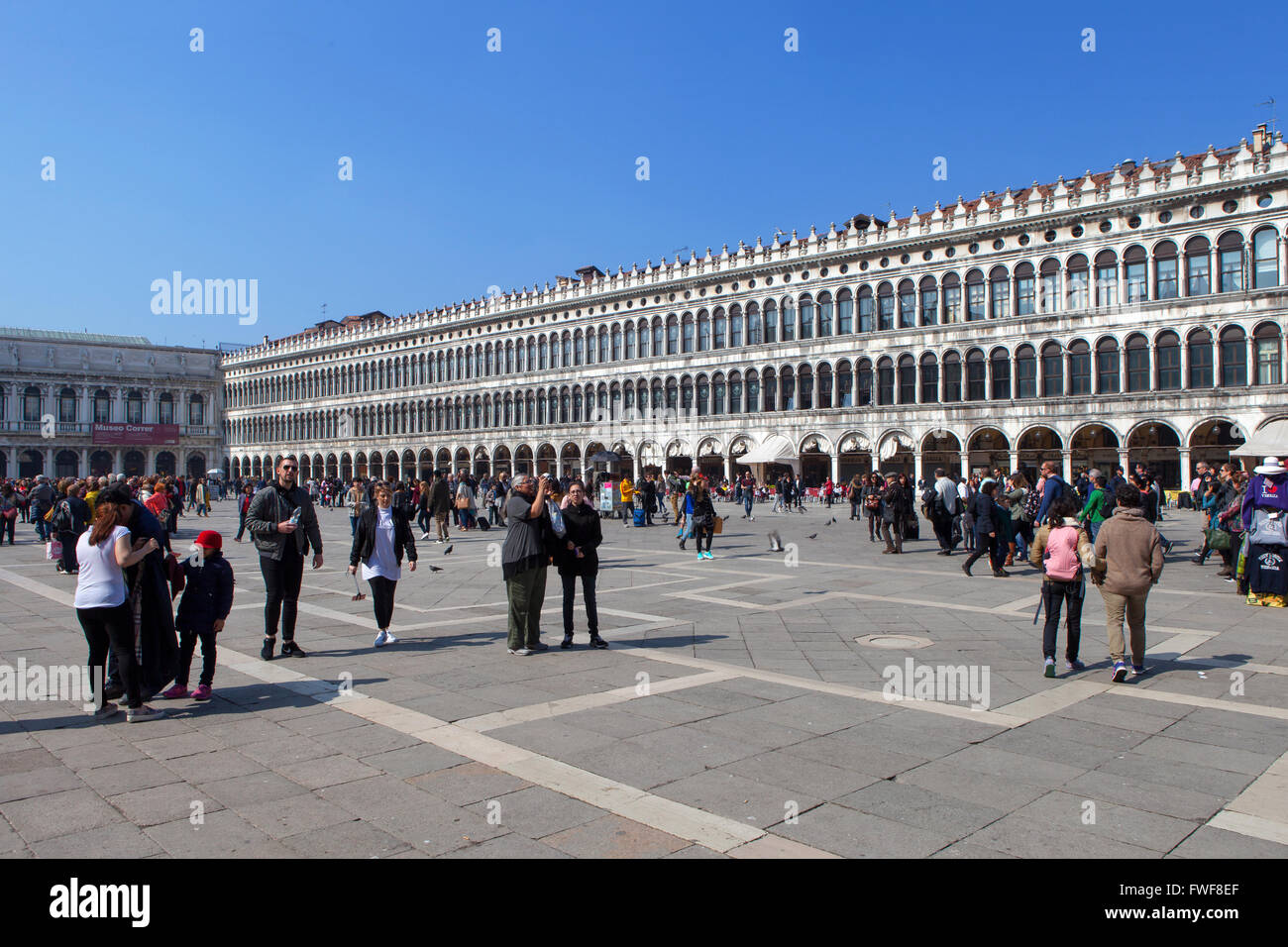 Einheimische und Touristen auf der Piazza San Marco, die wichtigsten öffentlichen Piazza Venezia, Italien Stockfoto