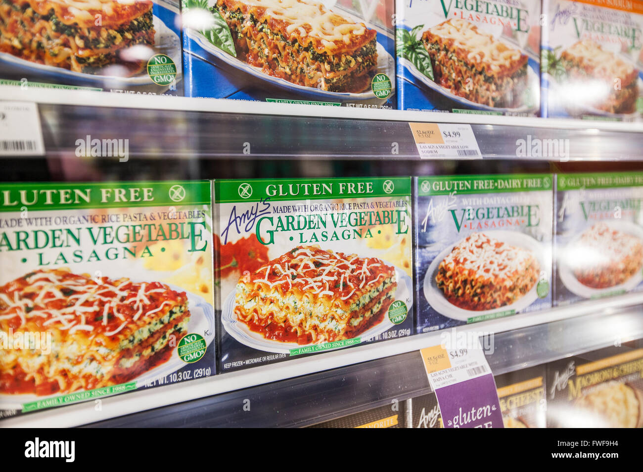 Boxen von Amy's Marke Glutenfrei gefrorene Lasagne in den Regalen des gefrorenen Fall angezeigt, in einem natürlichen Lebensmittel speichern Stockfoto