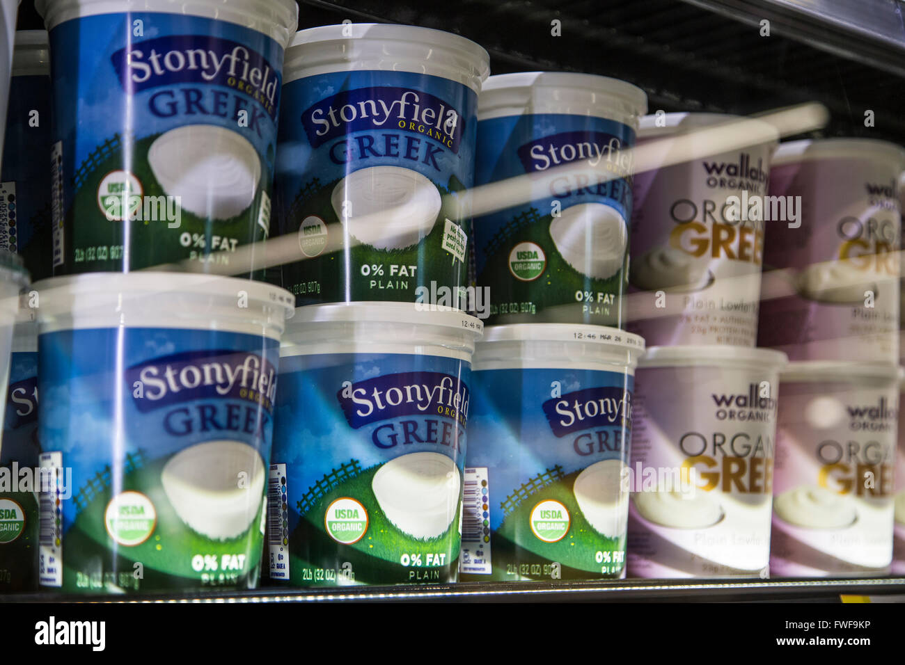 Stonyfield griechischer Joghurt in der Molkerei Fall ein Lebensmittelgeschäft Stockfoto