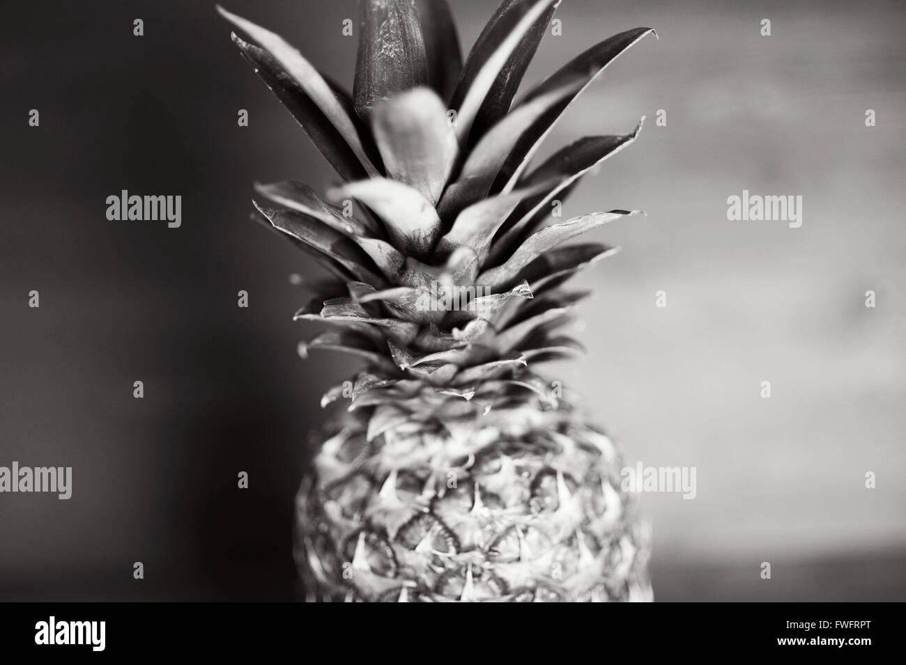 Schwarz / weiß Fotografie eine ganze Ananas Stockfoto