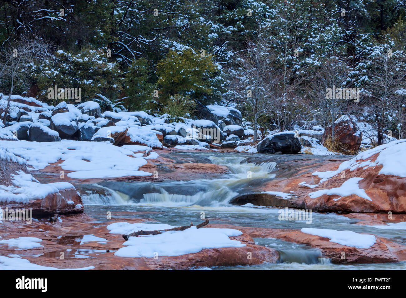 Oak Creek in Sedona, Arizona, nach einem letzten Wintersturm mit Schnee Teppichboden Stockfoto