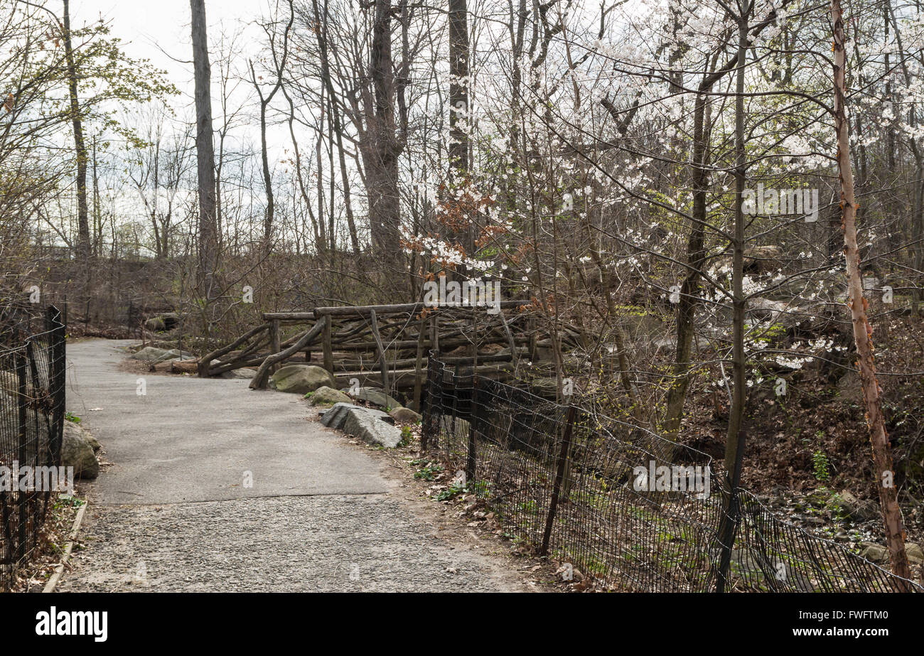 Weg und Holzbrücke in Nordholz im Central Park in New York City, im Frühjahr an einem bewölkten Tag Stockfoto