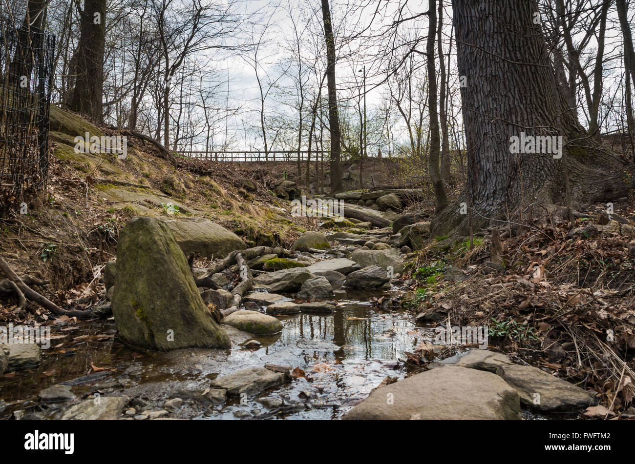 Seichten Bach / stream in Nordholz, Central Park, New York. Stockfoto