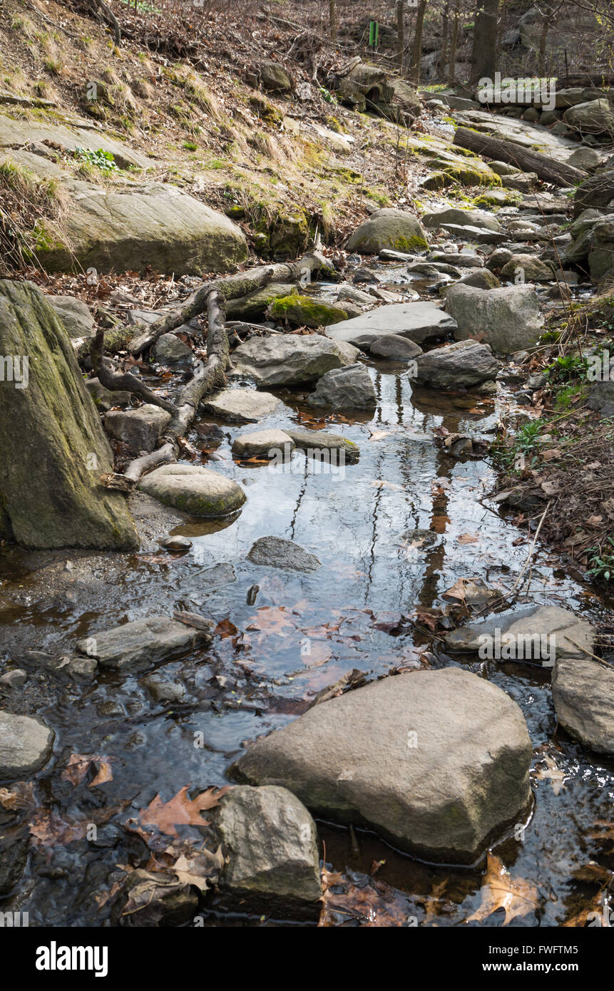 Seichten Bach / stream in Nordholz, Central Park, New York. Stockfoto
