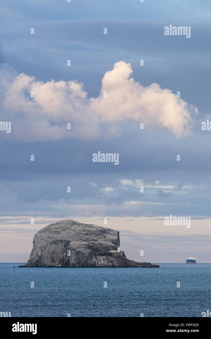 Bass Rock, North Berwick, East Lothian, Schottland. Stockfoto
