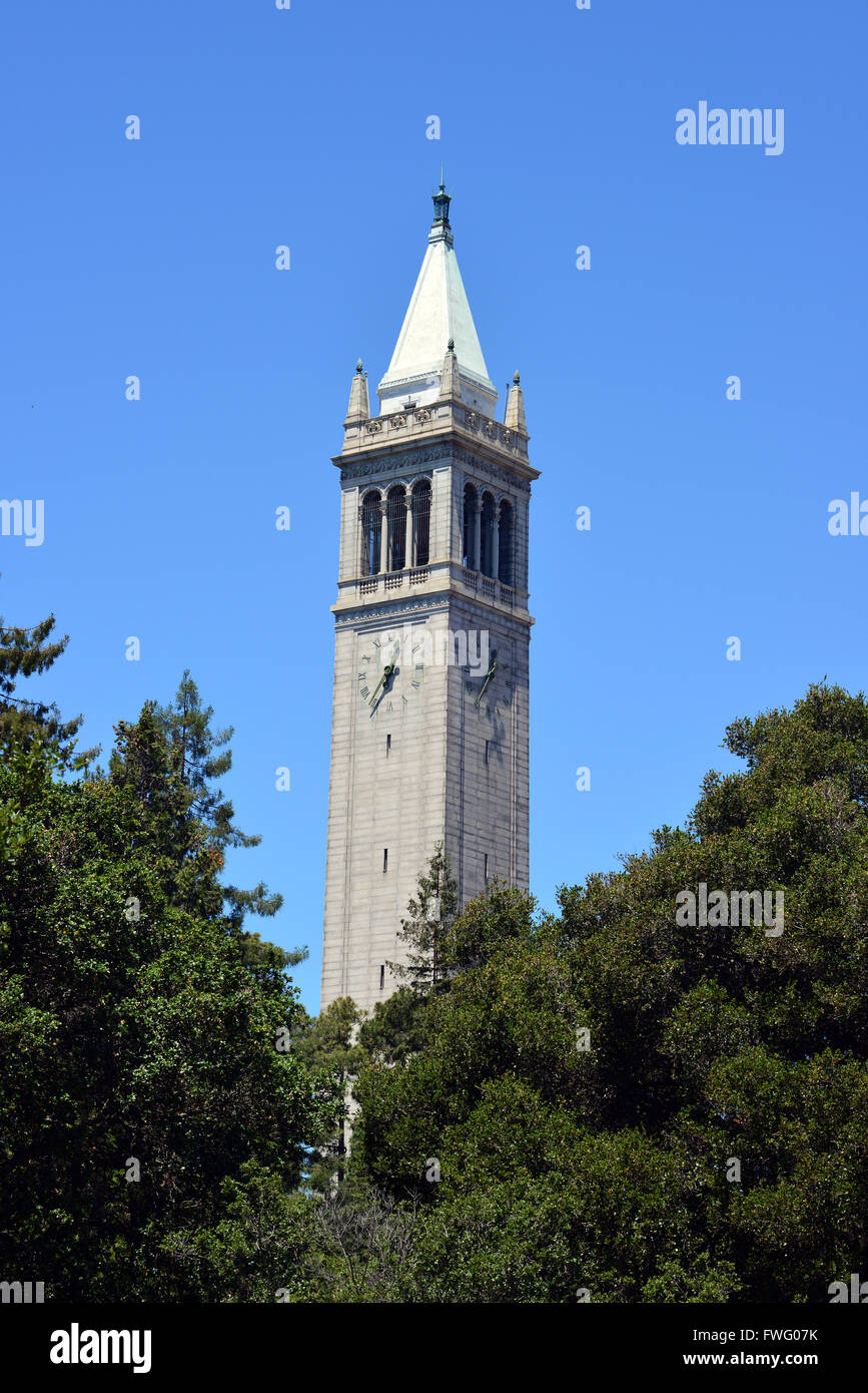 Campanile University of California, Berkeley USA an einem Sommertag im Juni Stockfoto