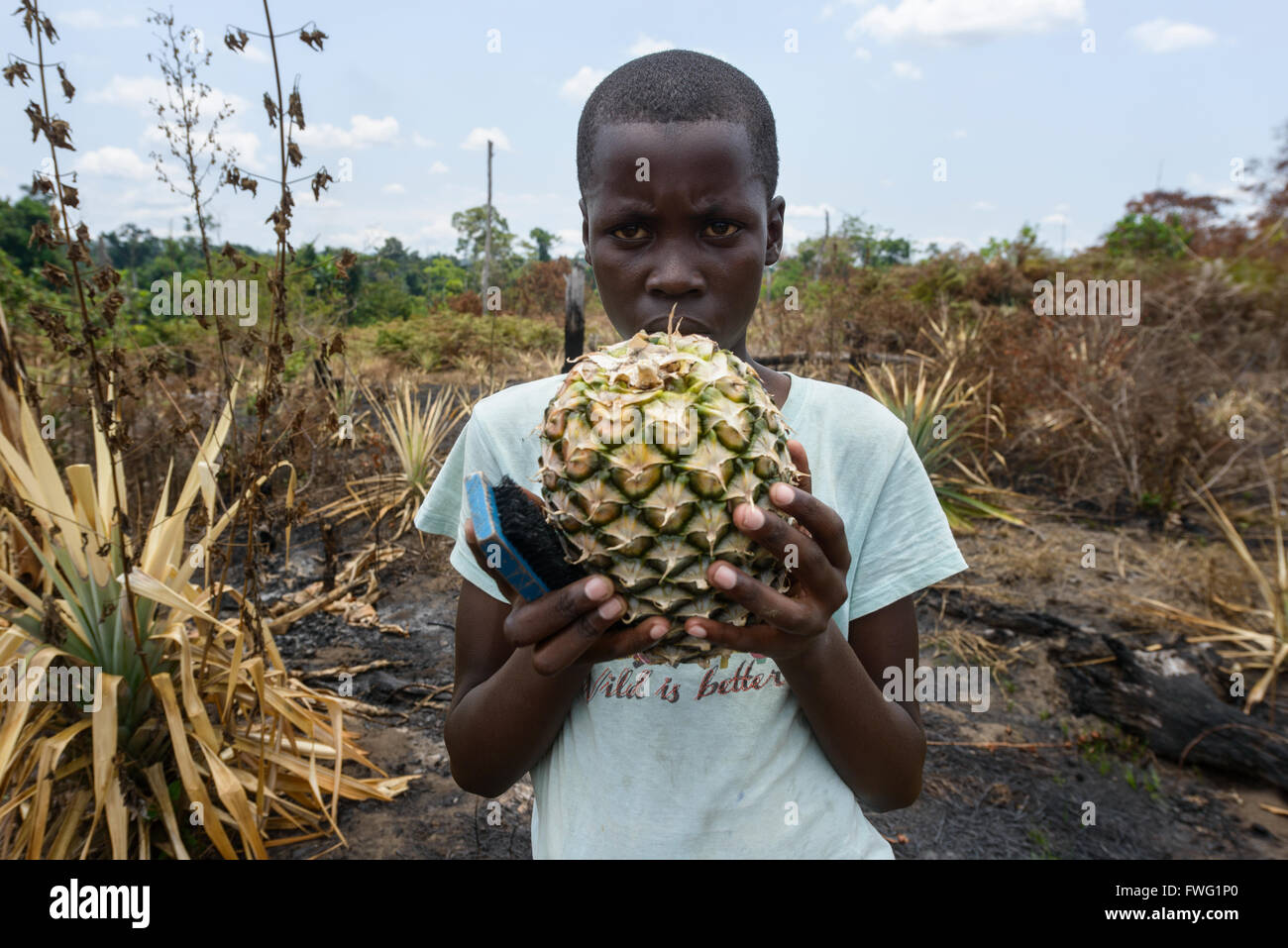 Mädchen Swith Ananas, demokratische Republik Kongo Stockfoto