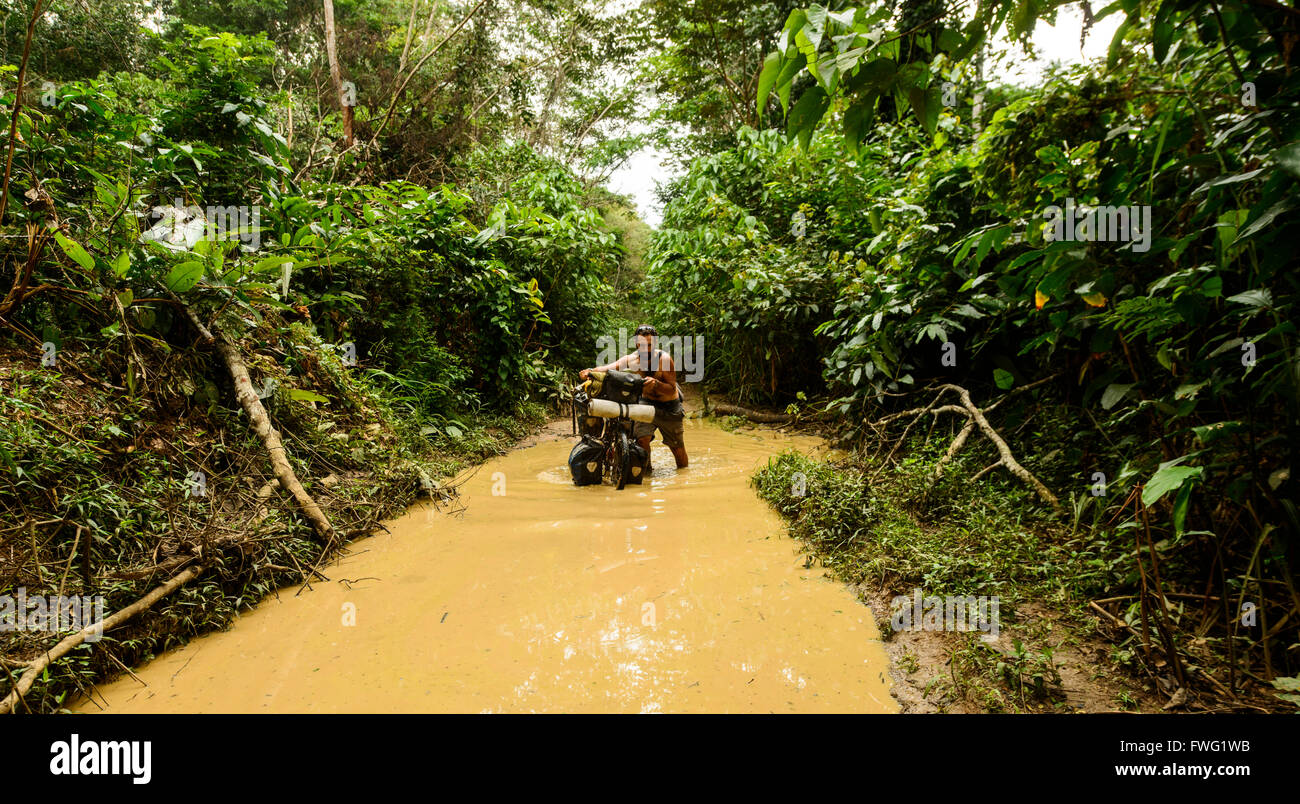 Radfahren durch den kongolesischen Dschungel, demokratische Republik Kongo Stockfoto