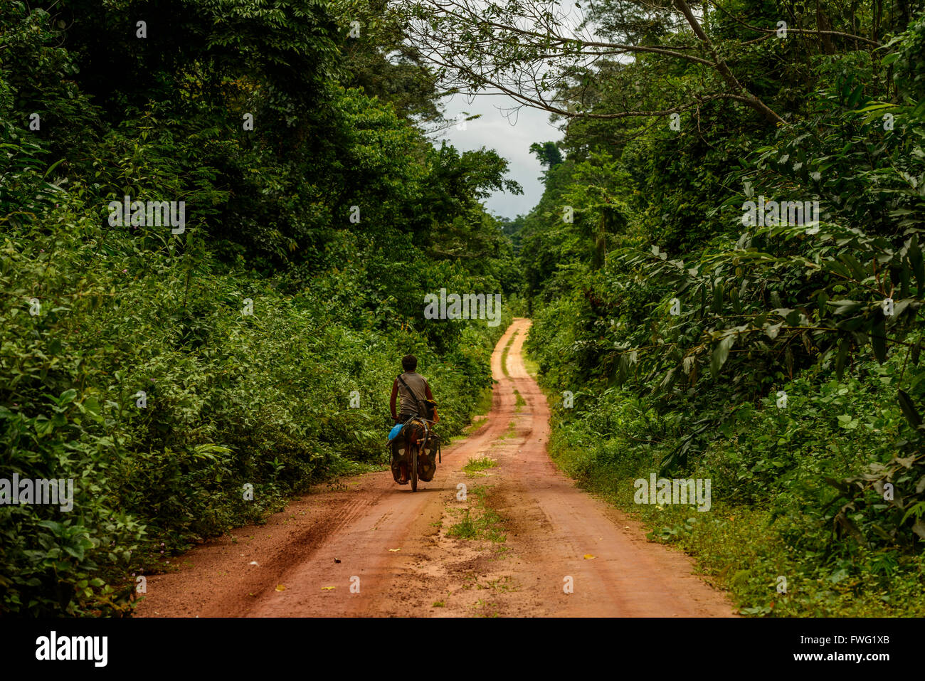 Radfahren durch den kongolesischen Dschungel, demokratische Republik Kongo Stockfoto