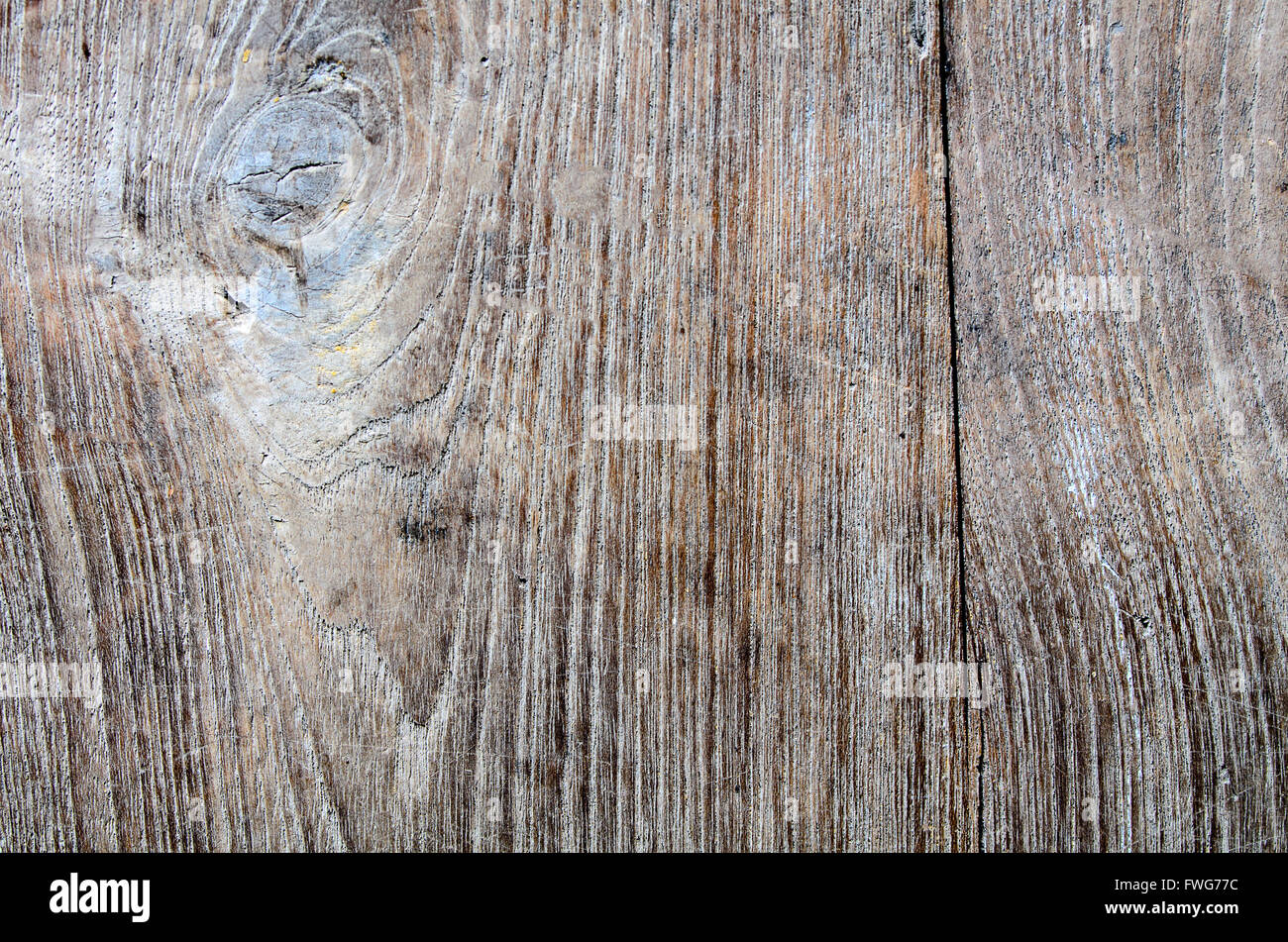 Holzmaserung. Teak Holz wird zu Platten verarbeitet. Holzmaserung. Leere Holz Hintergrund. Stockfoto