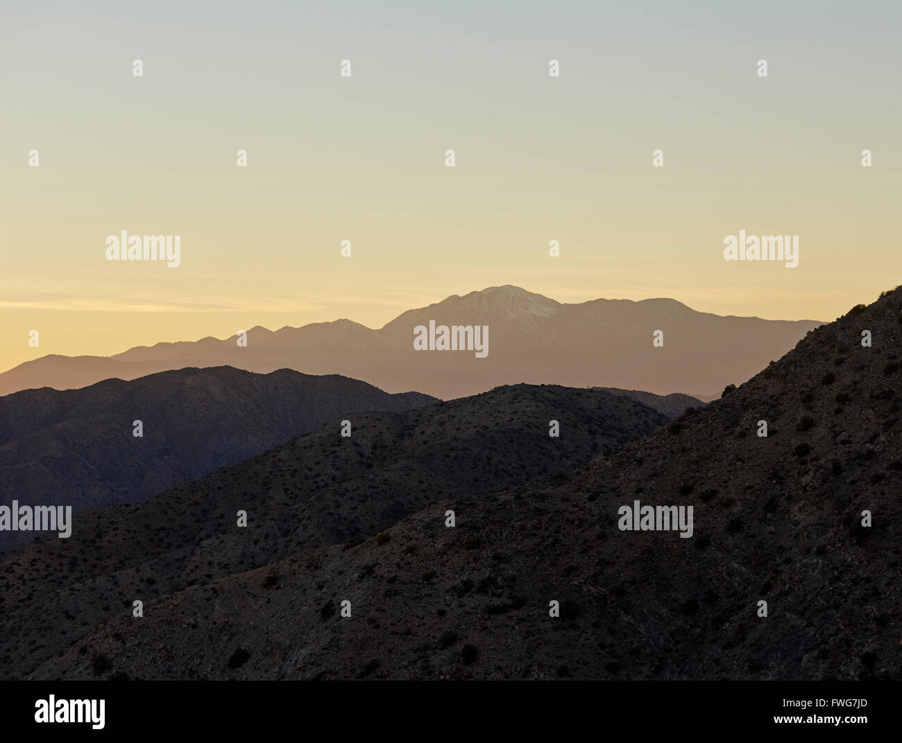 Dämmerung, Mojave-Wüste, Joshua Tree Nationalpark, Kalifornien, USA Stockfoto