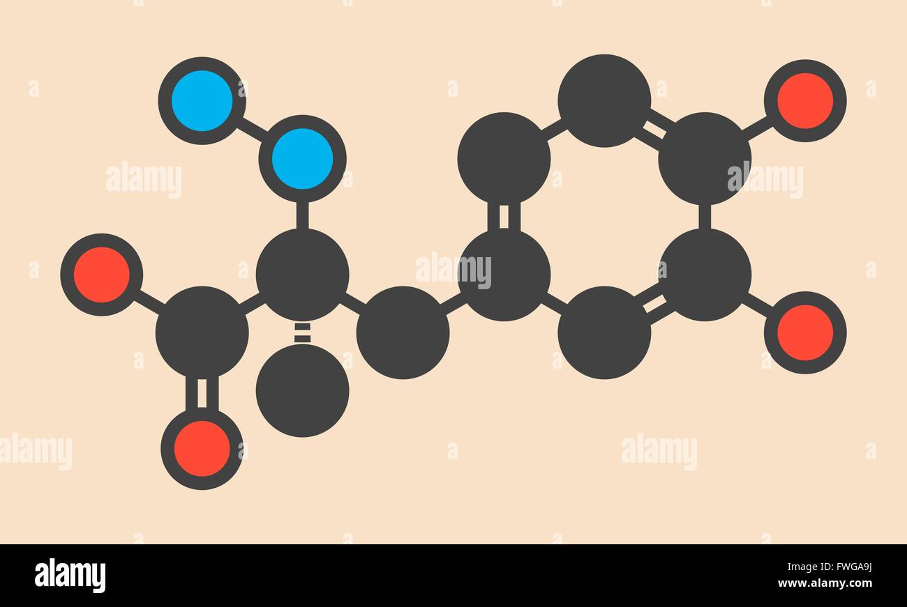 Carbidopa Parkinsons Krankheit Medikament verhindert, dass periphere Aufschlüsselung der Levodopa ermöglicht mehr l-Dopa das Gehirn stilisiert zu erreichen Stockfoto