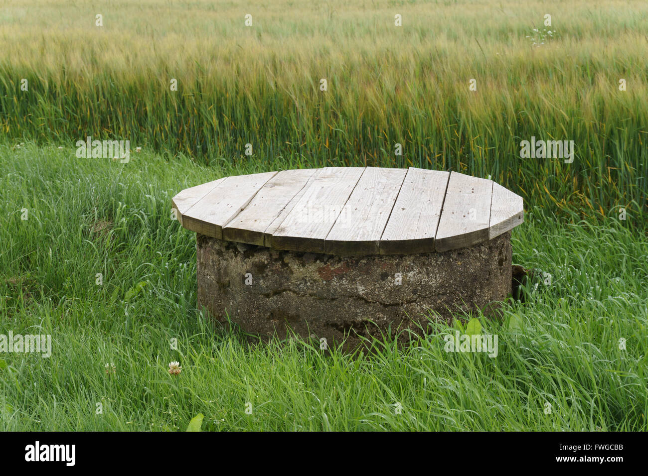 Landwirtschaft abtropfen lassen, gut mit Tasse im Ernte-Feld Stockfoto