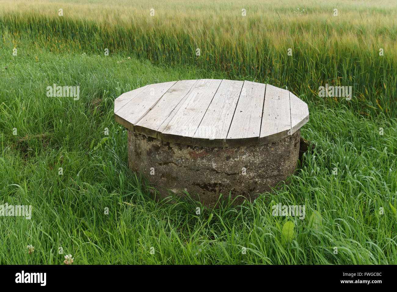 Landwirtschaft abtropfen lassen, gut mit Tasse im Ernte-Feld Stockfoto