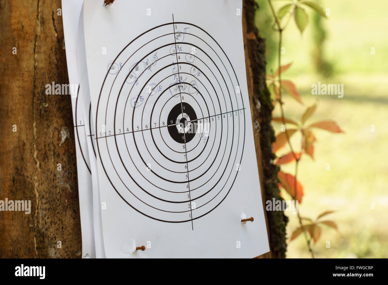 Shooting mit Shothun in einfachen Terget im Freien zu üben Stockfoto