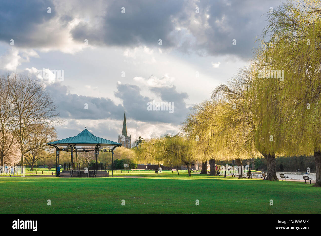Stratford Upon Avon Park, Blick auf den von Weiden gesäumten Erholungspark neben dem Fluss Avon im Zentrum von Stratford Upon Avon, England, Großbritannien Stockfoto