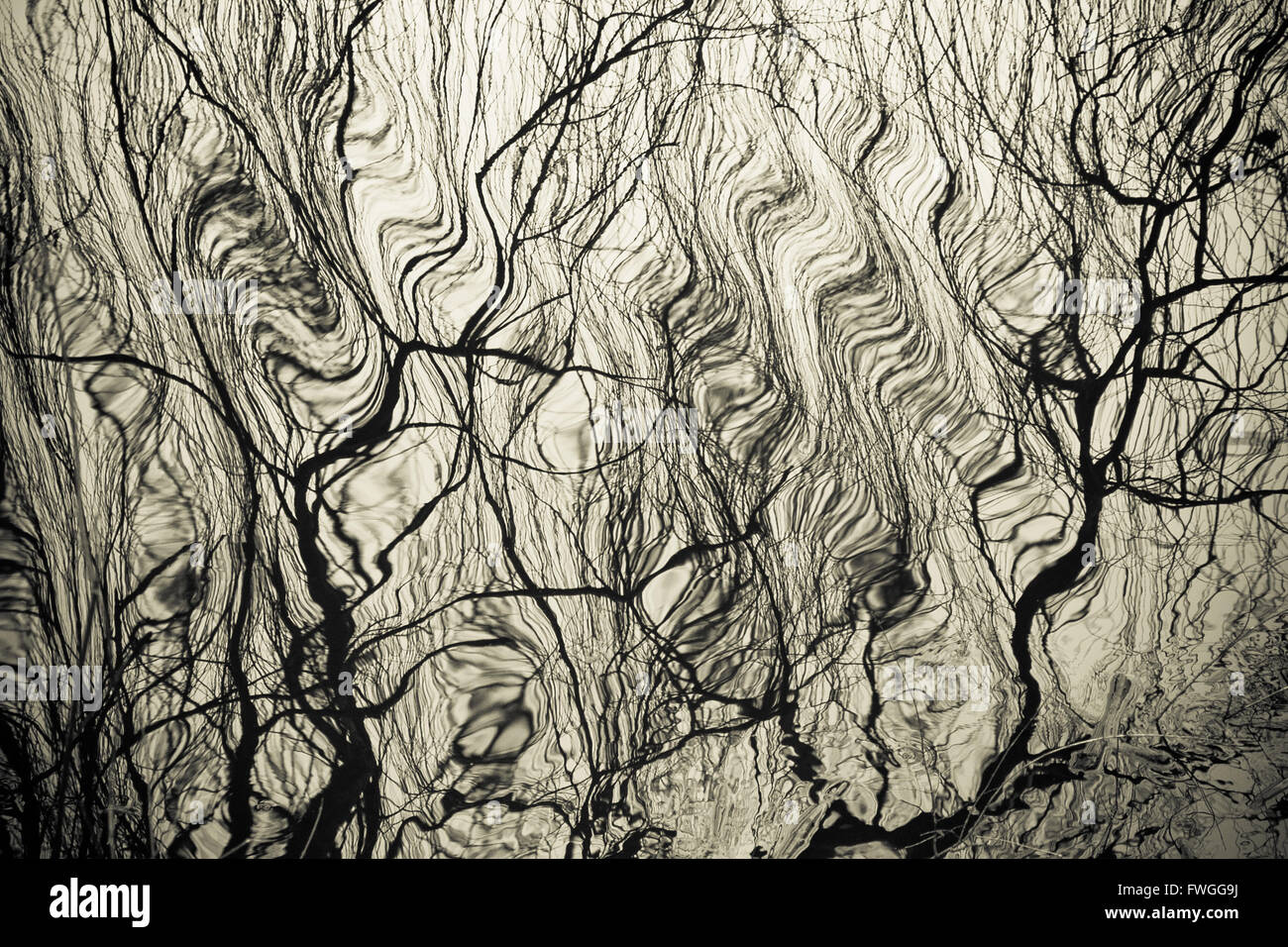 Wasseroberfläche mit Wellen und Baum Zweig Reflexion Stockfoto