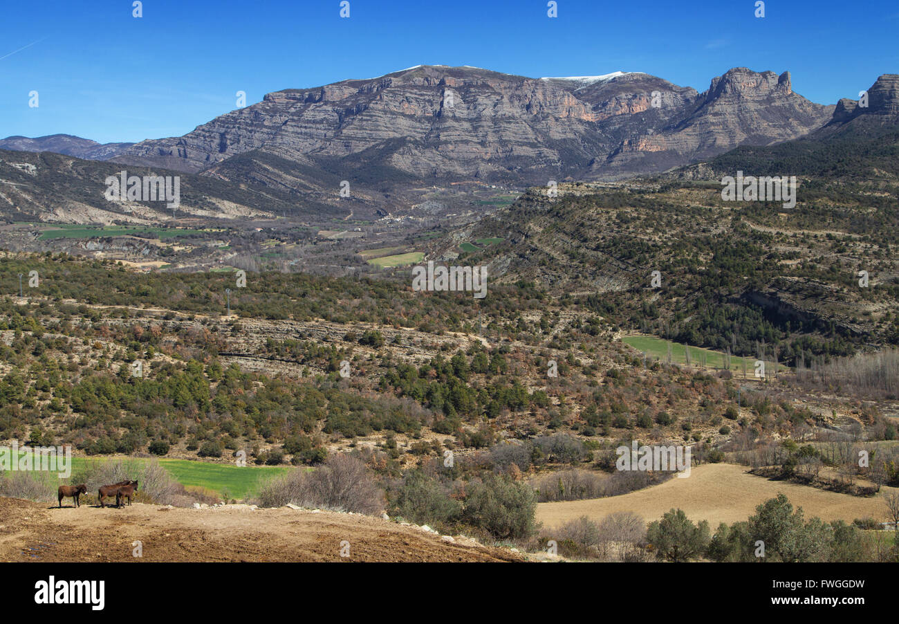 Berge von Sis und Isabena Tal in den aragonesischen Pre-Pyrenäen, Spanien. Stockfoto
