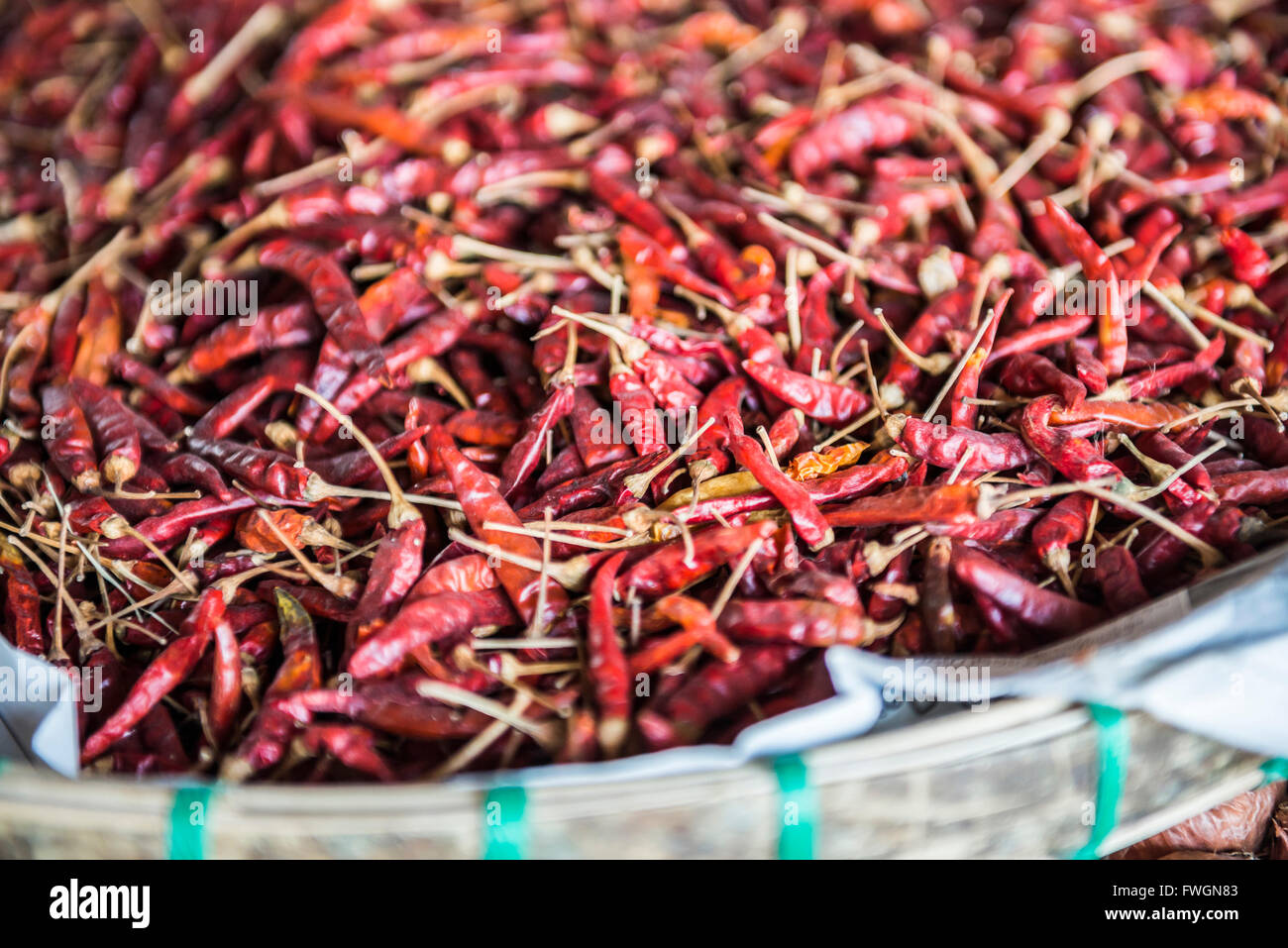 Chilis zum Verkauf an Hsipaw (Thibaw) Markt, Shan State in Myanmar (Burma), Asien Stockfoto