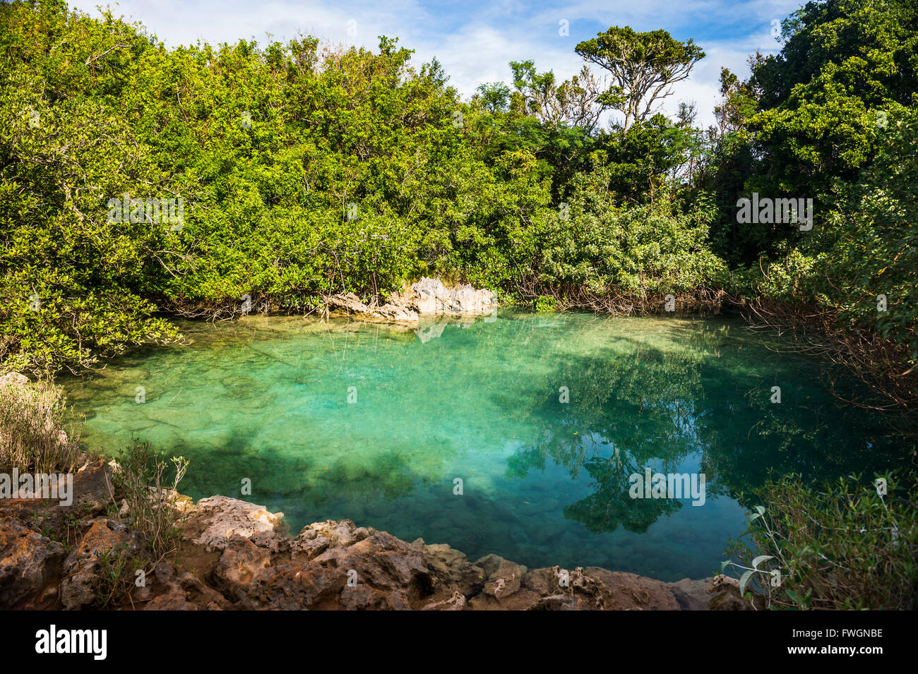 Doline im blauen Loch Park, Bermuda, Nordamerika Stockfoto