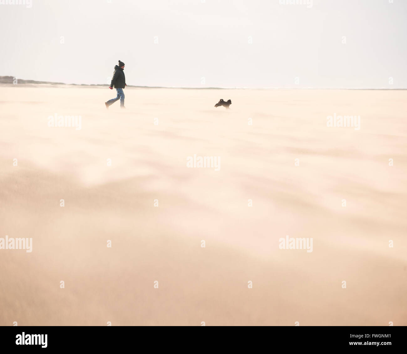 Mann mit Hund zu Fuß über ein windiger Strand mit trockenen Treibsand erstellen eine Wolke unter den Füßen, West Kirkby, Wirral, England Stockfoto