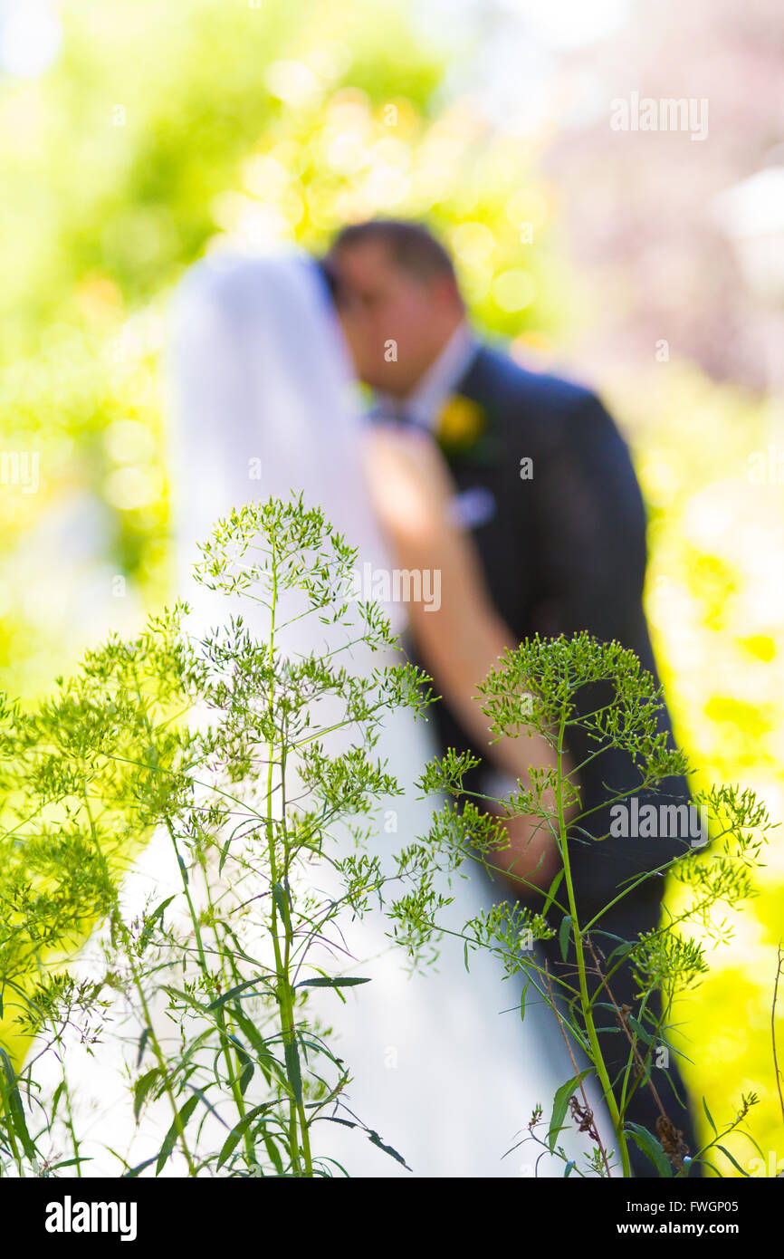 Eine Braut und Bräutigam gemeinsam einen süßen Moment mit einigen Pflanzen vor ihnen und eine geringe Schärfentiefe. Stockfoto