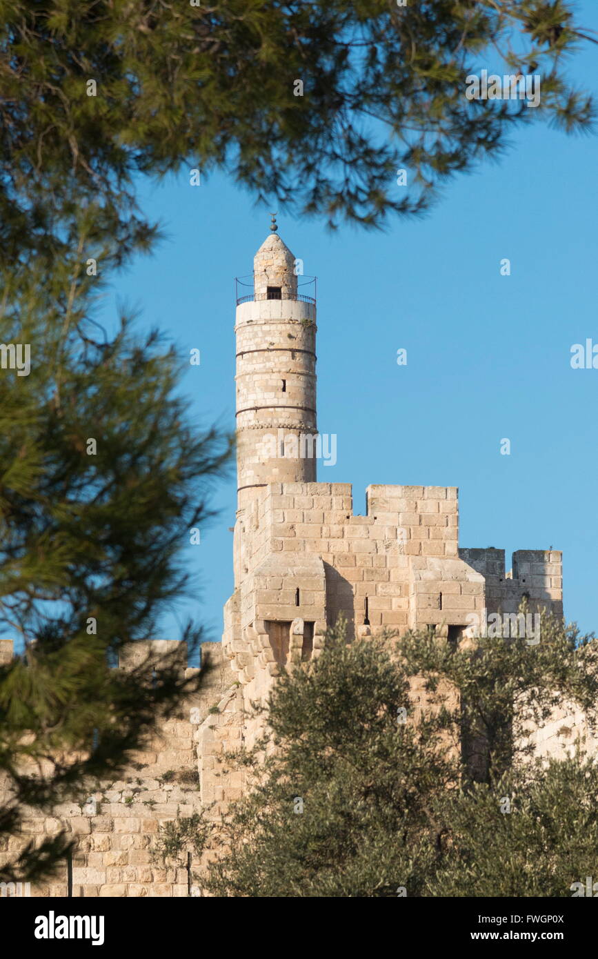 Turm von David durch Bäume, Altstadt von Jerusalem, Israel, Nahost Stockfoto