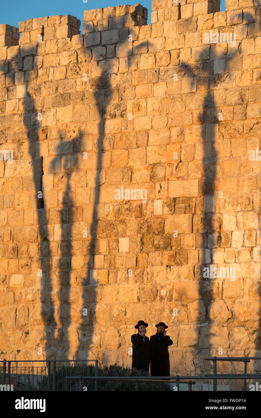 Zwei orthodoxe Jewsh mit Palme Baum Schatten im Hintergrund entlang der Altstadt Wände, Altstadt von Jerusalem, Israel, Naher Osten Stockfoto