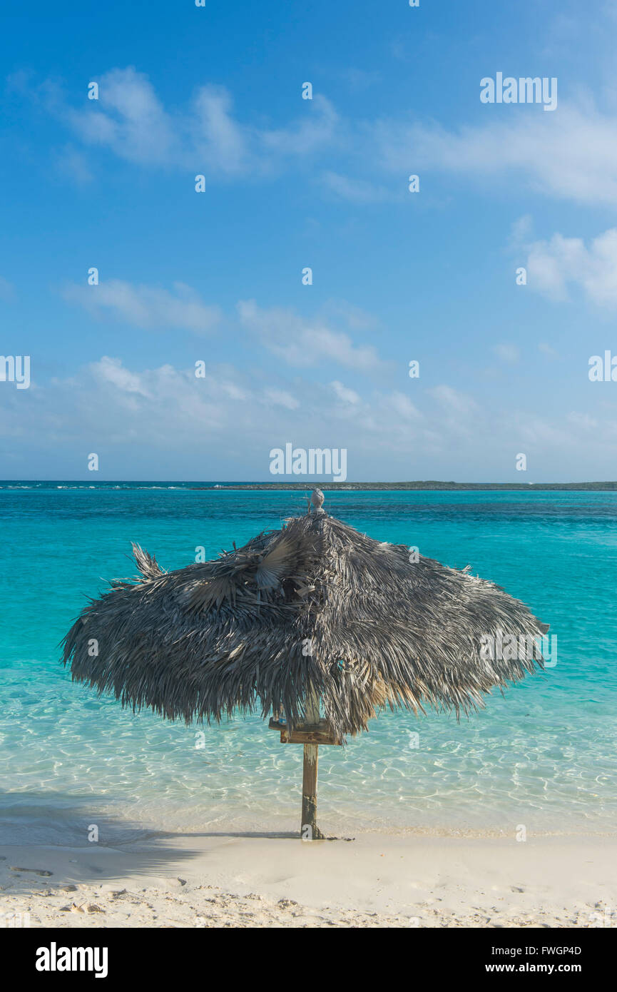 Türkisfarbenes Wasser und ein weißer Sandstrand, Exumas, Bahamas, West Indies, Karibik, Mittelamerika Stockfoto