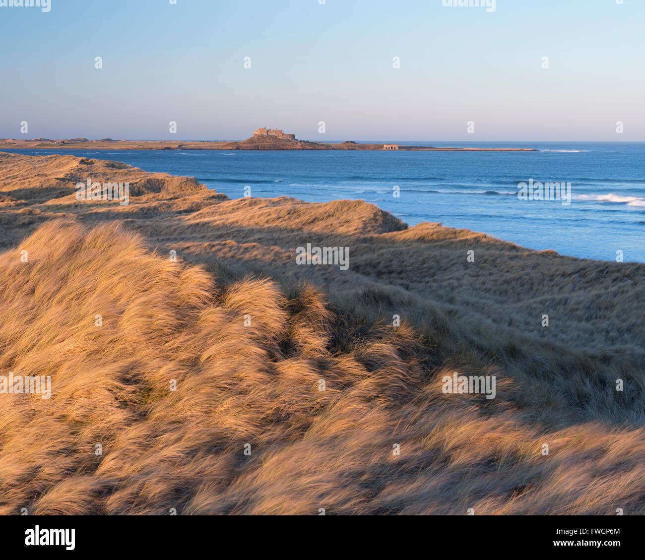 Blick auf Holy Island von Ross Sands, Northumberland, England, Vereinigtes Königreich, Europa Stockfoto