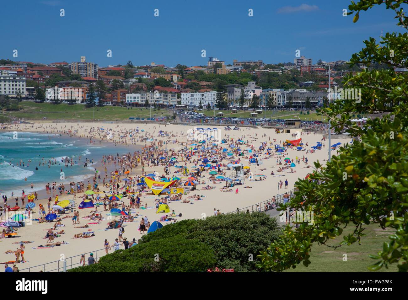 Bondi Beach, Sydney, New South Wales, Australien, Ozeanien Stockfoto