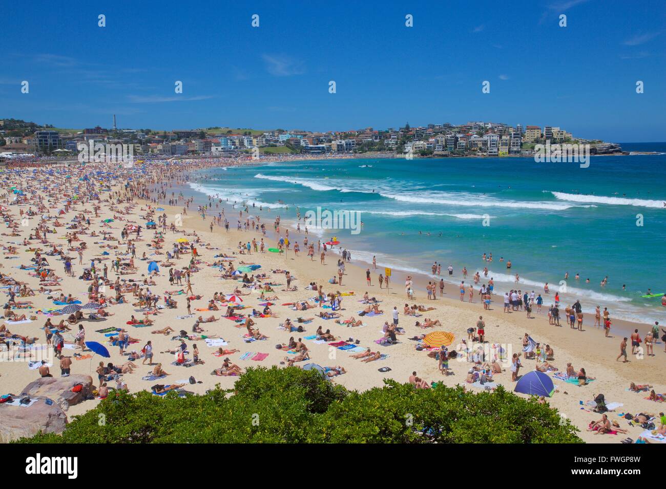 Bondi Beach, Sydney, New South Wales, Australien, Ozeanien Stockfoto