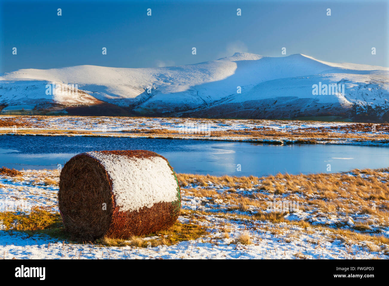 Brecon-Beacons-Nationalpark, Wales, Vereinigtes Königreich, Europa Stockfoto