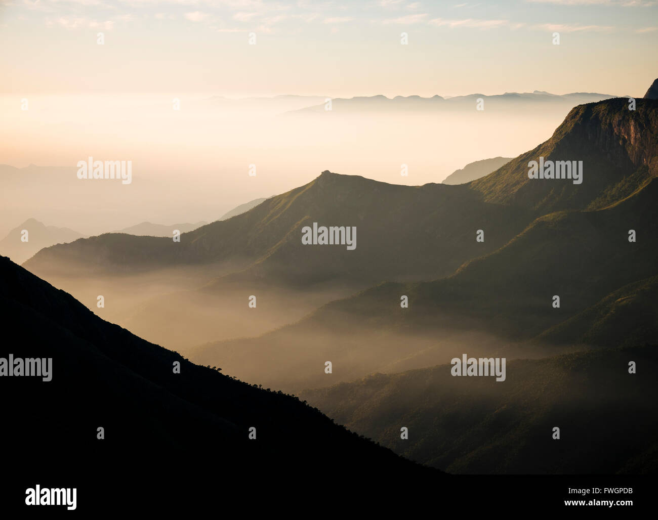 Morgenlicht aus Bergstation, Kerala, Indien, Südasien Stockfoto