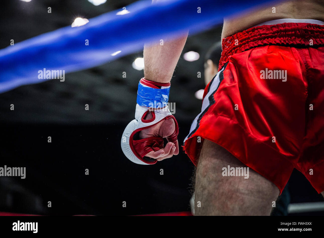 Kämpfer-Boxer in der Ecke des Rings vor dem Kampf Stockfoto