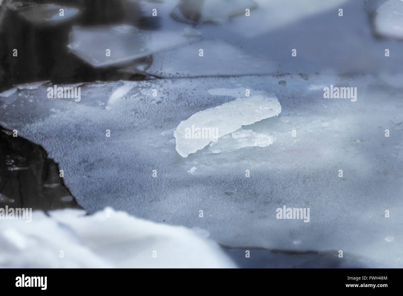 Schöne grau-blaue Eis am trüben Herbsttag auf dem Wasser Stockfoto