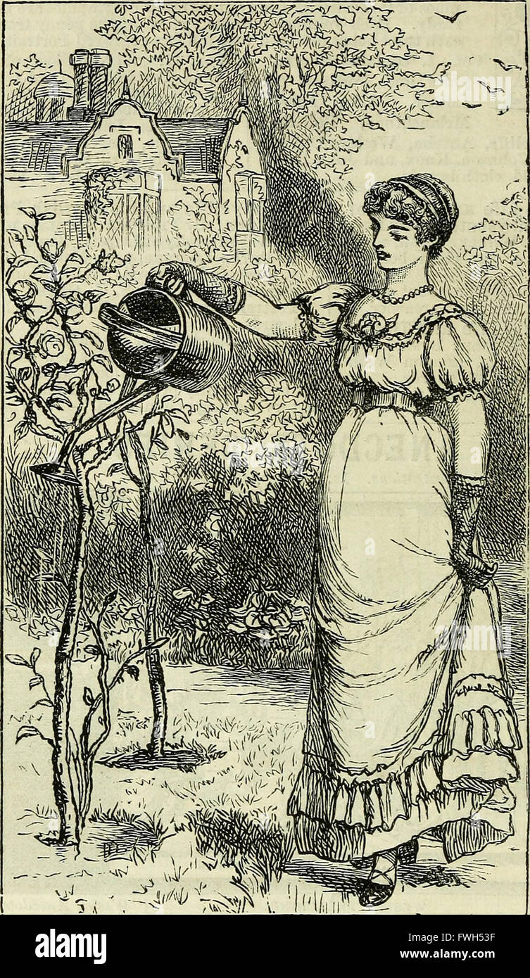 Forfar Verzeichnis und Jahr buchen 1886 (1886) Stockfoto