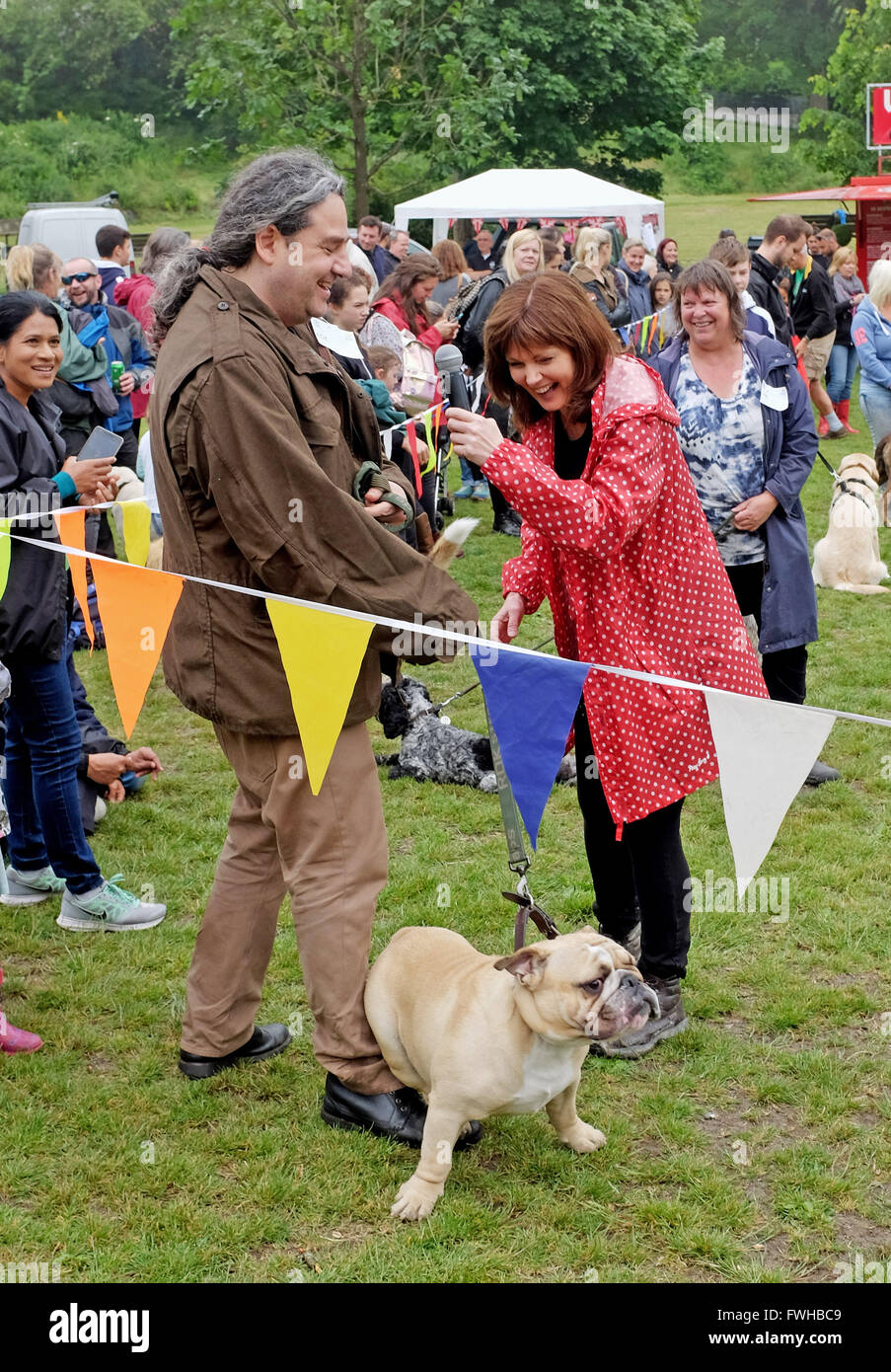 Brighton UK 12. Juni 2016 - Conferencier Annabel Giles trifft Freddie und seinem Besitzer Danny Boyle in der schönste Hund-Klasse bei der jährlichen Rinde in der Park-Hundeausstellung in Queens Park Brighton und die eines der beliebtesten Community-Events in der Stadt Credit geworden ist: Simon Dack/Alamy Live News Stockfoto