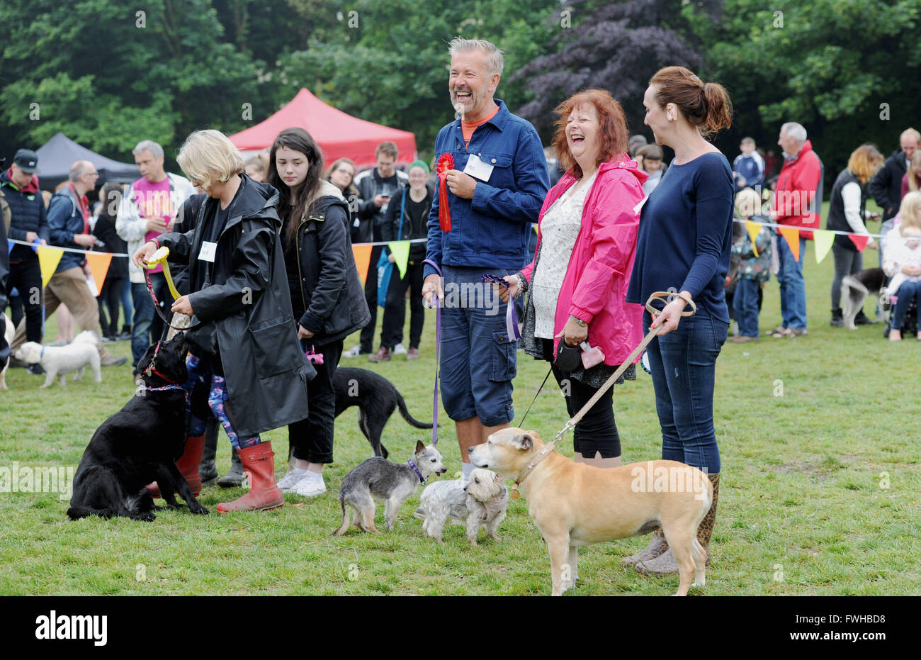 Brighton UK 12. Juni 2016 - Teilnehmer in der Veteranenklasse auf der jährlichen Rinde in der Park-Hundeausstellung in Queens Park Brighton statt und die ist heute eines der beliebtesten Community-Events in der Stadt Credit: Simon Dack/Alamy Live News Stockfoto