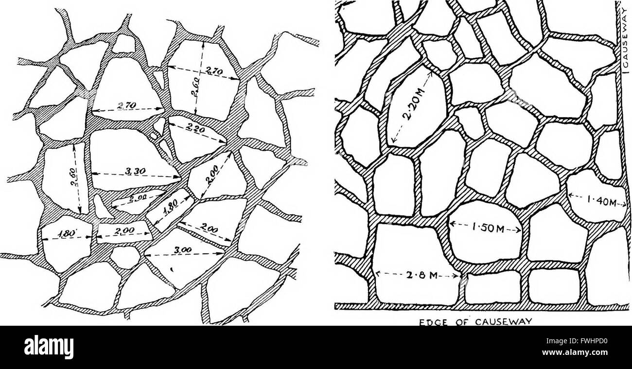Ein wissenschaftliches Werk aus dem Jahr 1921, das die Stadien der frühen kretischen Zivilisation mit Schwerpunkt auf den archäologischen Funden im Palast von Knossos vergleicht und die kulturellen und architektonischen Fortschritte der Minoer erforscht. Stockfoto