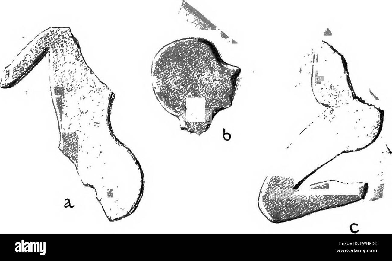 Diese 1921 erschienene Publikation bietet eine vergleichende Analyse der frühen Stadien der kretischen Zivilisation mit Schwerpunkt auf den archäologischen Entdeckungen in Knossos und deren Bedeutung für das Verständnis der antiken Geschichte. Stockfoto