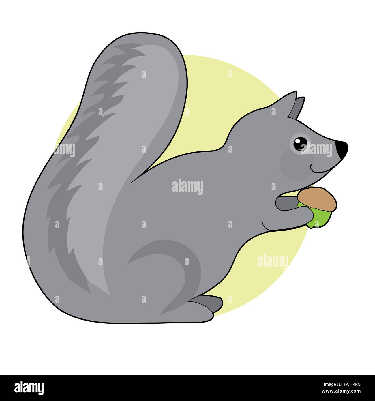 Ein kleines grauen Eichhörnchen mit einem großen flauschigen Schweif ist eine Eichel Essen. Stockfoto