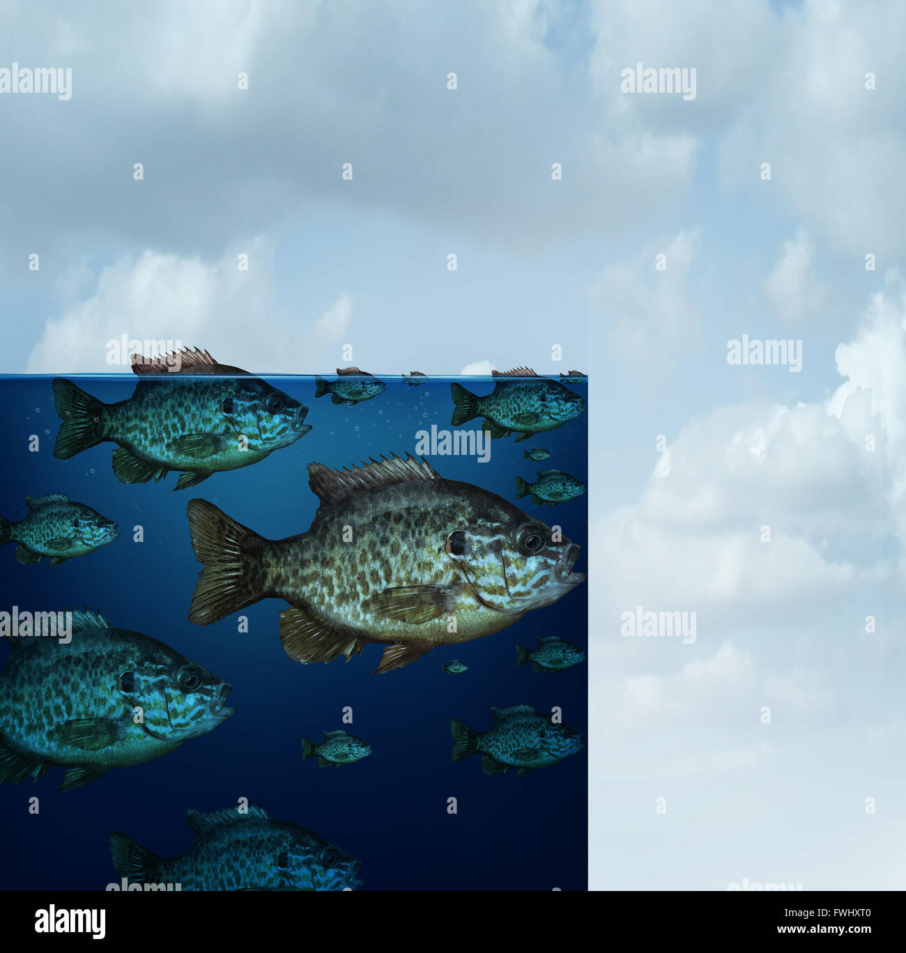 Sperrgebiet kreative Geschäftsidee für Dürre oder den Verlust von Lebensraum und die globale Erwärmung als eine Gruppe von Fischen im Meer, Stockfoto